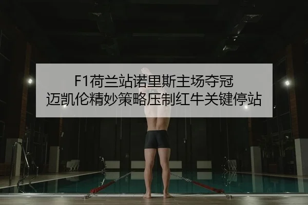 F1荷兰站诺里斯主场夺冠 迈凯伦精妙策略压制红牛关键停站